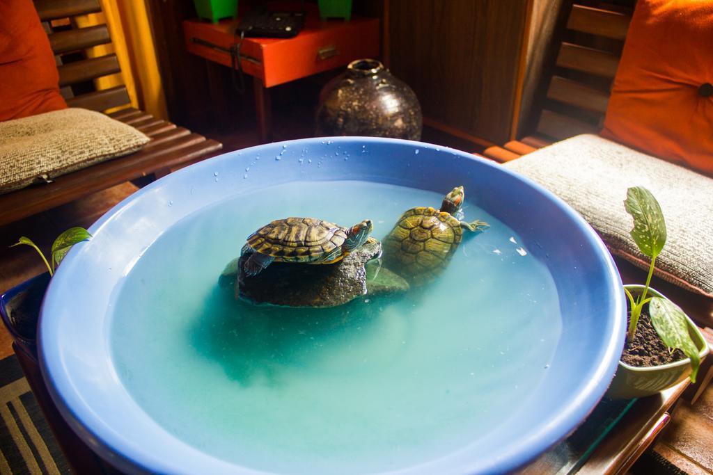 Casa Tropicana - Hotel & Homestays パナジ エクステリア 写真